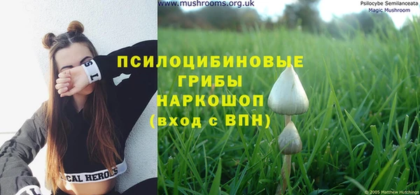 герыч Богородицк