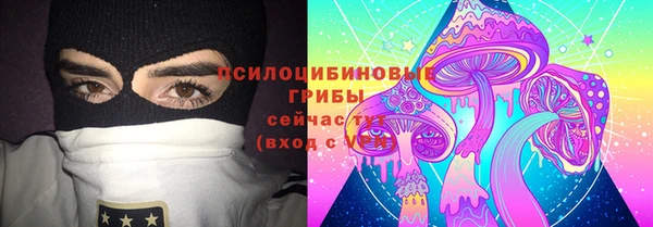 спайс Богородск