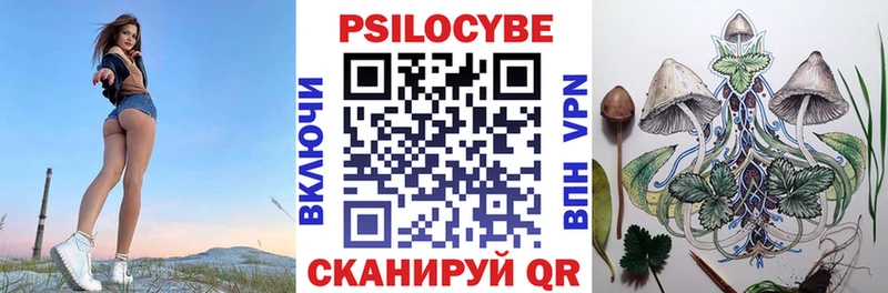 продажа наркотиков  Обь  Псилоцибиновые грибы Psilocybine cubensis 